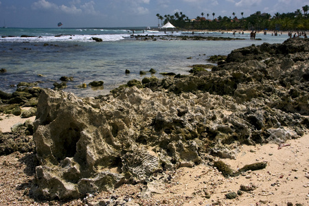 石屋和棕榈在多米尼卡共和国