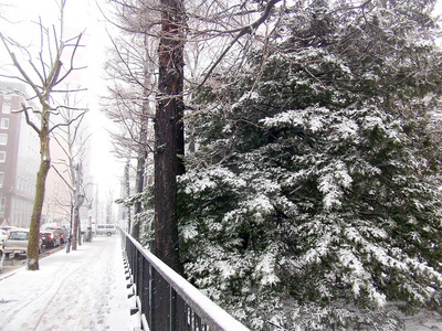 北海道街道上的雪