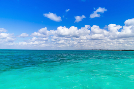 海滩和热带海