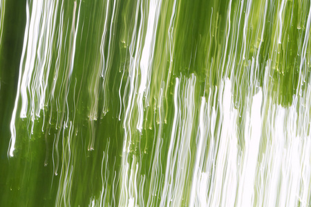 在模糊的绿色森林背景抽象光模式