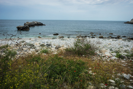 海景观与花