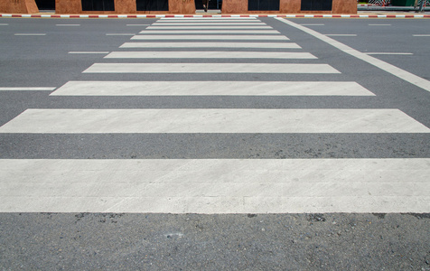 斑马交通游走在城市道路上的方式