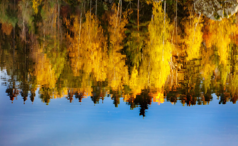 湖上绿色和黄色树木的倒影