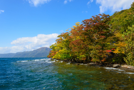 在十和田湖中的秋天