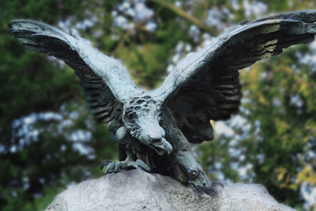 鹰的权力 宏伟和权力象征