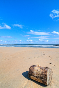 阿斯伯里公园海滩