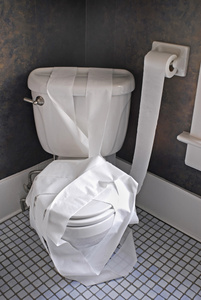 厕所用纸裱糊图片