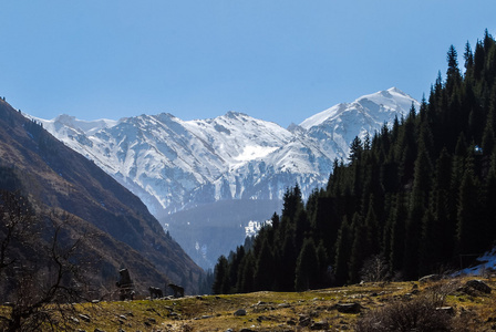 山风景