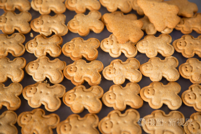 房子和人形饼干姜面包