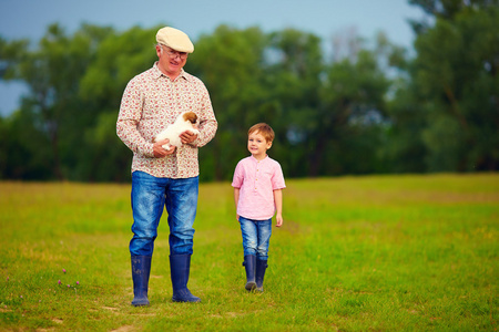 祖父和孙子步行穿过绿色的田野，在手中的小狗