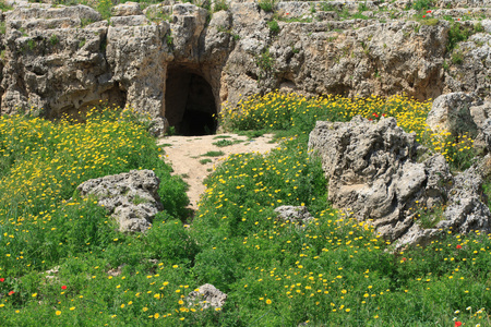 考古发掘中塞浦路斯帕福斯
