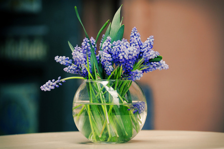 玻璃花瓶中的春天的花朵