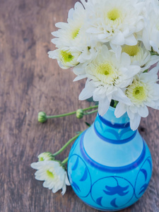 白色的雏菊花在彩色花瓶