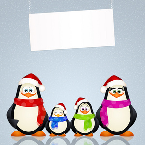 企鹅在圣诞节