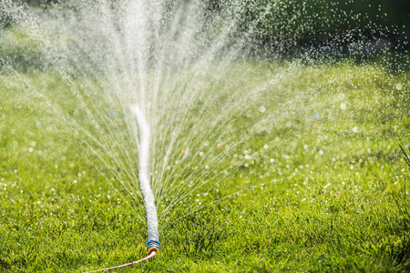 微喷带花园浇水照片