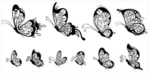 蝴蝶简笔画侧面图片