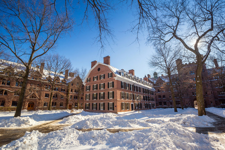 耶鲁大学建筑在雪后的冬天风暴莱纳斯