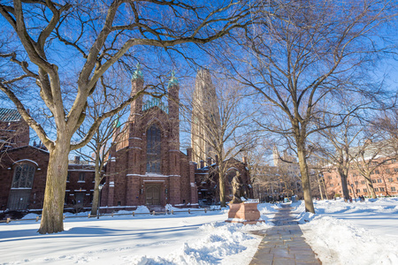 耶鲁大学建筑在雪后的冬天风暴莱纳斯
