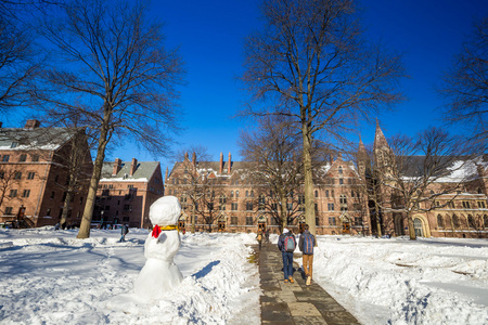 耶鲁大学建筑在雪后的冬天风暴莱纳斯