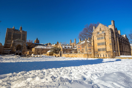 耶鲁大学建筑在雪后的冬天风暴莱纳斯