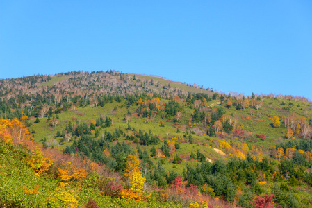 八岛台山红叶