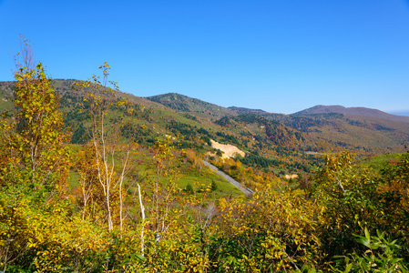 八岛台山红叶