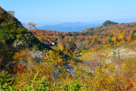 八岛台山红叶