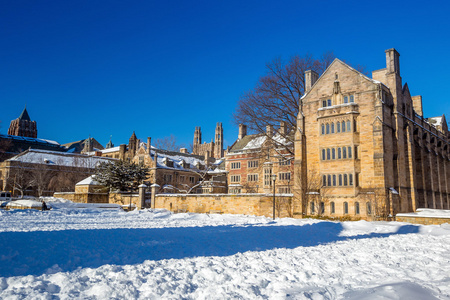 耶鲁大学建筑在雪后的冬天风暴莱纳斯