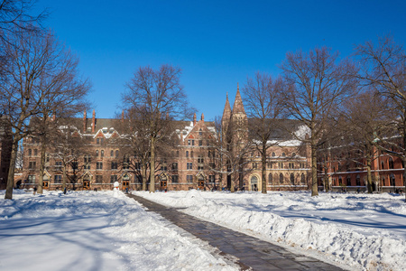 耶鲁大学建筑在雪后的冬天风暴莱纳斯