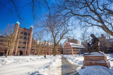 耶鲁大学建筑在雪后的冬天风暴莱纳斯