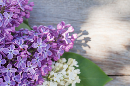 七彩的淡紫色花朵花园桌上