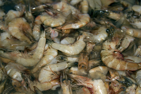 在印度果阿的鱼市场上的鲜虾图片