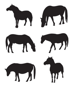 黑色的轮廓的马匹的集合