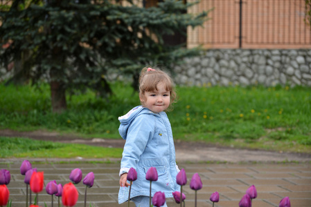 小女孩与郁金香花坛附近图片