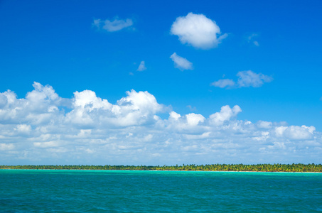 海滩和热带海