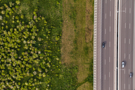 鸟瞰的公路