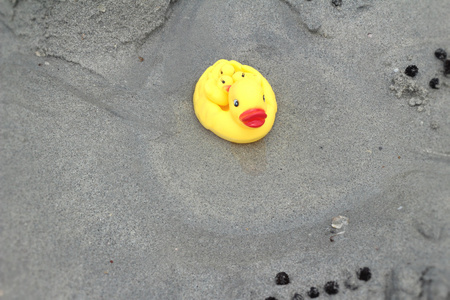 可爱的黄色橡皮鸭在沙滩上