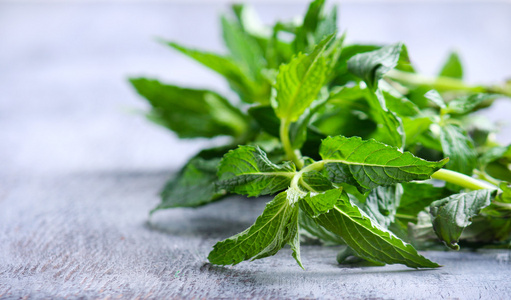 卷曲的茎卷曲的薄荷茎照片