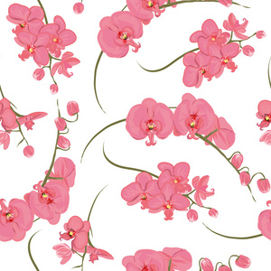 粉红色的兰花的洛可可式的无缝的模式