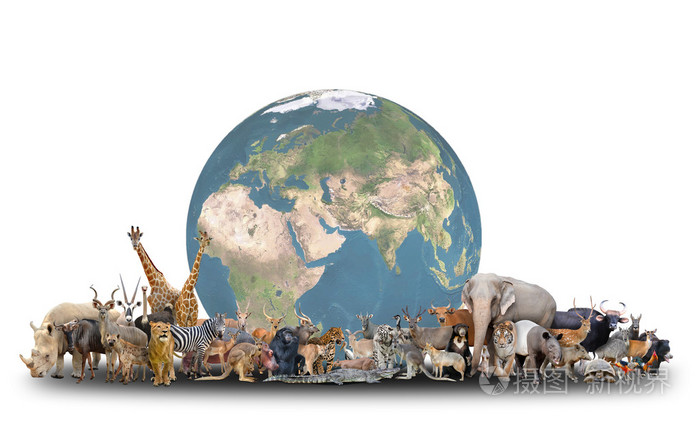 与行星地球世界的动物