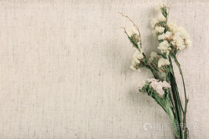 美丽的干燥花织物背景照片 正版商用图片1j5544 摄图新视界