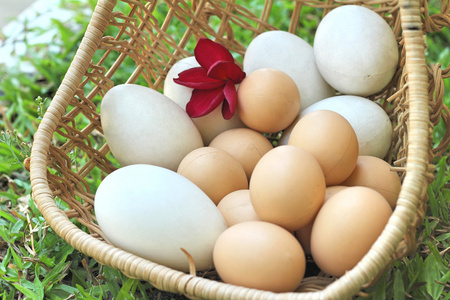 复活节彩蛋和白蛋的复古风格