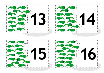 青蛙和蝌蚪学习计数卡的拼图,蝾螈和蝌蚪,数字 13-16照片