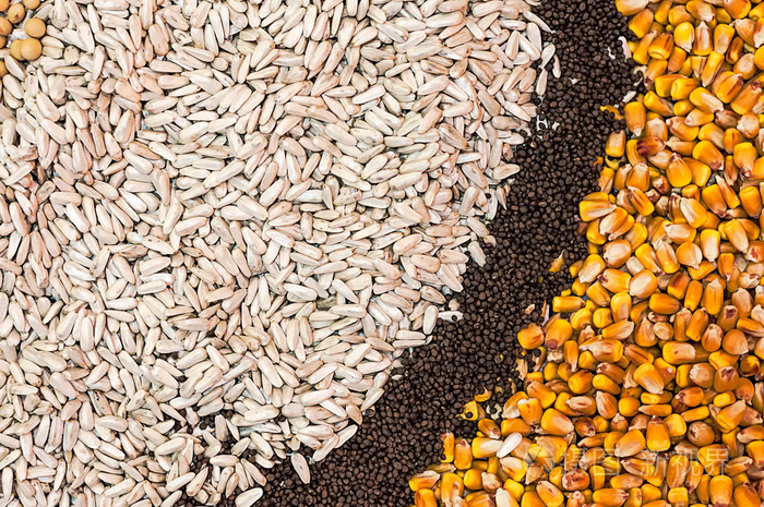 各种农作物种子