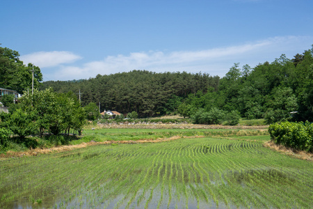 农业在江陵