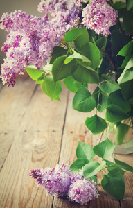 紫色丁香的花束。选择性焦点