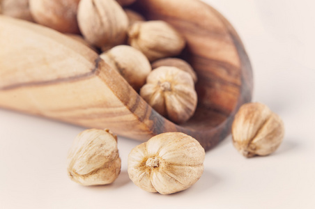 矢量图黑色豆蔻,也被称为希尔豆蔻,孟加拉豆蔻,大豆蔻,印度豆蔻