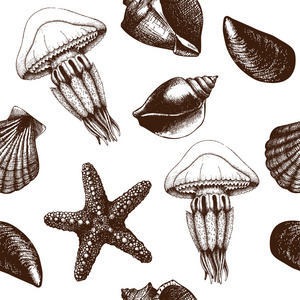 手绘海贝壳和水母