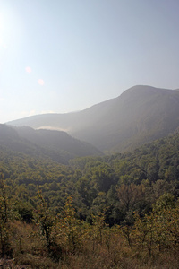 山风景