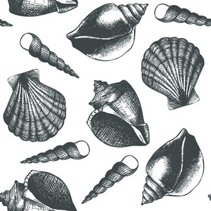 与海贝壳手绘制的模式